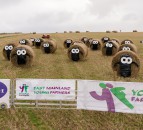 Pics: Bale Art competition finalists revealed