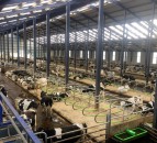 Dairy focus: Why one 700-cow farm decided to go down the robotic milking route