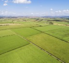9,000ac Scottish borders estate hits the market at £19.5 million