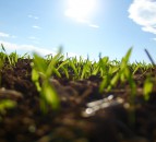Chief executive of Organic Farmers' & Growers steps down