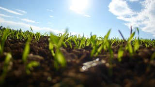 New Defra measures to help with rising on-farm costs
