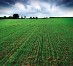Changes to phosphate offtake values 'could be justified'