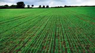 Changes to phosphate offtake values ‘could be justified’