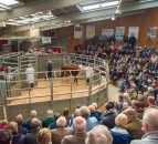 Alice enters wonderland with new Hereford centre record
