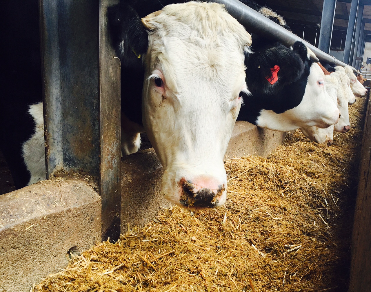 Farming and environmental groups unite on farm funding message