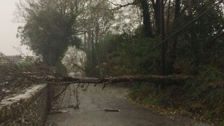 Rural England left behind in Storm Arwen response – CLA