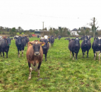 How one dairy farmer went from an employee to farm manager and business partner