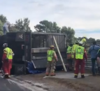 Cattle chaos: Livestock lorry overturns on US interstate
