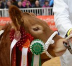 Welsh Winter Fair: Hard Brexit 'biggest threat' to Wales' red meat industry