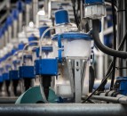 Other UK nations urged to back financial support for dairy farmers