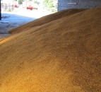 Grain price: Relatively stable, with the odd slump