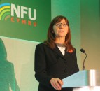 Griffiths: Maintaining the status quo is 'not an option' post-Brexit