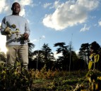RAU research boosted by £2 million donation