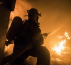 21,000 chicks killed in Preston poultry farm fire