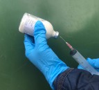 What is best practice when it comes to injecting my cattle?