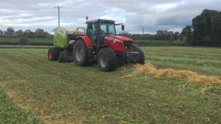 Thinking of baling forage crops? Here are some tips