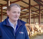 A ‘no deal’ scenario: ‘The real fear is cheaper beef imports undermining our market’