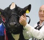 Co. Dublin breeder wins Royal Ulster Winter Fair Inter-Breed Championship