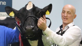 Co. Dublin breeder wins Royal Ulster Winter Fair Inter-Breed Championship