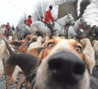 Hundreds of thousands turn out for Boxing Day meets