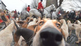 Hundreds of thousands turn out for Boxing Day meets