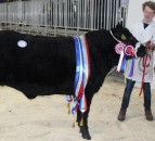 Miller steals the show at Beef and Lamb Championship