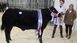 Miller steals the show at Beef and Lamb Championship
