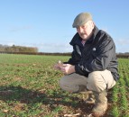 West provides research focus for UK’s number one wheat disease
