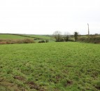 Agricultural land provides 40ac and winter accommodation for livestock