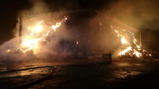 Farm of Dyson boss targeted in suspected arson attack