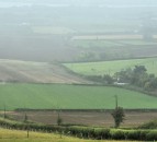 UFU: ‘Genuine partnerships needed to tackle ammonia’