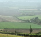 UFU: 'Genuine partnerships needed to tackle ammonia'