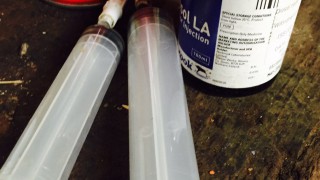 Vet clinic issued notice for supplying unauthorised products
