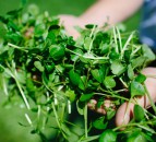 Inspiring a new audience for watercress