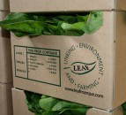 LEAF invites industry to help shape future of the marque
