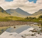 Scottish water warming rapidly - report