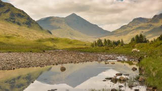 Secluded estate sees productive sheep enterprise included on 12,816ac