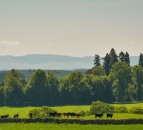 Farm unions urge Chancellor to act now to change no-deal tariffs