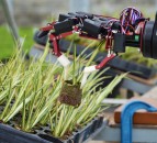 Horticulture conference to bring international robotics experts to UK