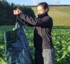 Brassica Day to offer advice on best practice on out-wintering