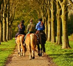 Lincolnshire to introduce 'Rural Rangers' in fight against rural crime