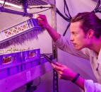 LettUs Grow named best 'tech-for-good' startup in the UK