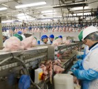 2 Sisters fined £274,000 after 2 workers lose fingers