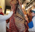 Welsh beef industry uses international techniques to train quality graders