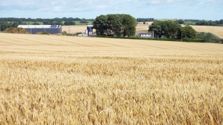 407.96ac commercial farm for sale in 2 lots in well-known farming area