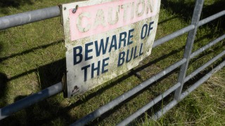 HSE issues safety call to farmers after a series of farm fatalities