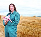Scottish pig industry unites to eradicate endemic disease