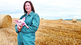 Scottish pig industry unites to eradicate endemic disease