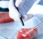 Is lab-grown meat really better for the environment?