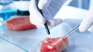 Is lab-grown meat really better for the environment?